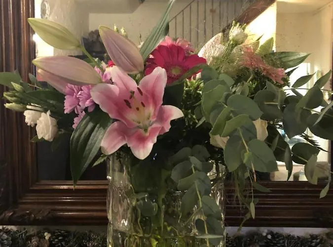 酒店 尤坎帕尼勒酒店 *