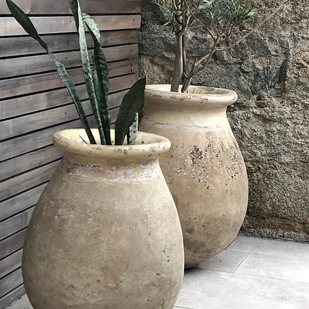 Hotel U Campanile Vivario (Corsica)