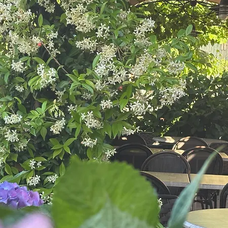 U Campanile Vivario (Corsica)