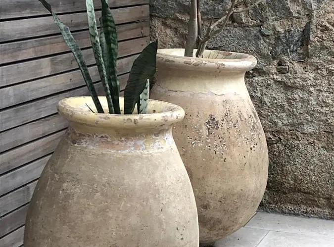 فندق U Campanile Vivario (Corsica)