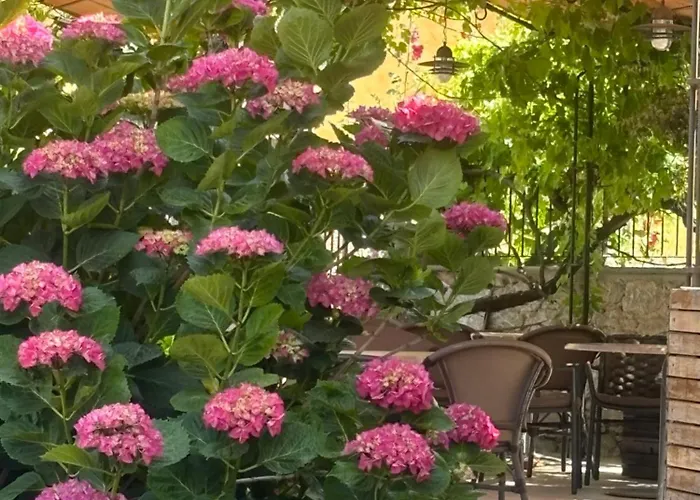 فندق U Campanile *