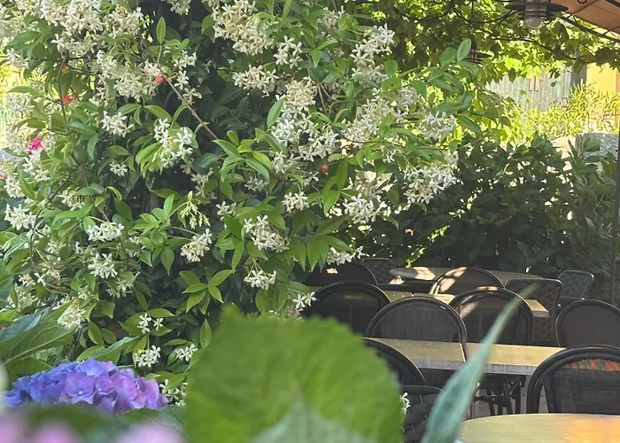 U Campanile Vivario (Corsica)